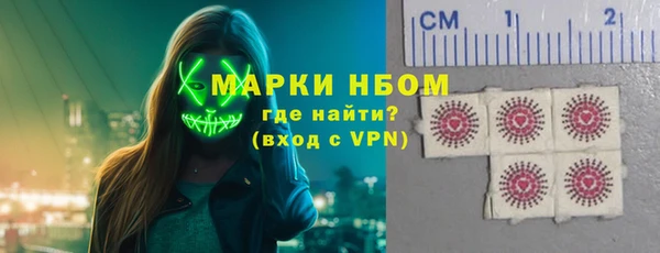 прущие грибы Баксан