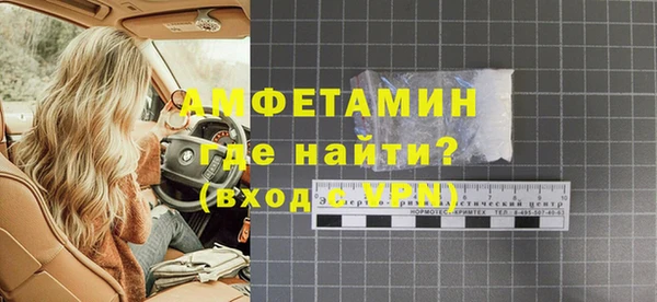прущие грибы Баксан