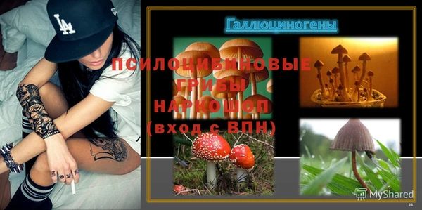 прущие грибы Баксан