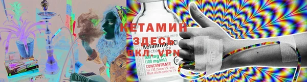 прущие грибы Баксан